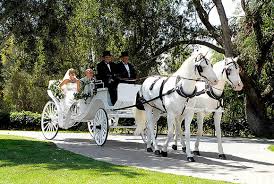 austin party bus limo bus bridal wedding services